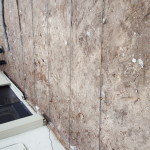 concrete-patio-for-mr-g-1 concrete-patio-for-mr-g-1